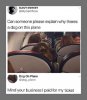 dog on plane.jpg