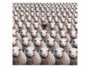 386542_b~A-Black-Sheep-Among-a-Multitude-of-White-Sheep-Posters.jpg
