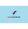 1bed6d26ecf09b9127bfdb5e6d328533--i-hate-love-flying-insects.jpg