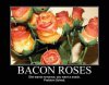 Bacon Roses.jpg