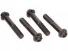 titanium-front-caliper-bolts.jpg