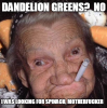 dandelion greens.png