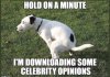 celebrity_opinions.jpg