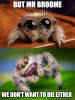 spiders 2.png