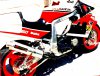 IMG_20210221_115912.jpg