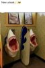 shark urinals.jpg