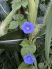 IMG_4664.jpeg