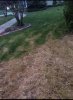 IMG_4673.jpeg