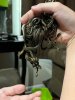 IMG_1110.jpeg