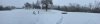 Winter.jpg