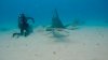 IMG-20250315-WA0004.jpg