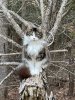 IMG_0500.jpeg
