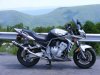 fz1.jpeg