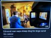 Drug for dogs  - Copy.jpg