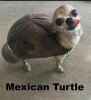 FB_IMG_1745714138545.jpg