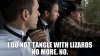 upload_2025-4-30_8-14-29.gif