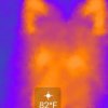 SPitfire IR.jpg