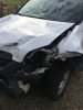 deer 3.JPG