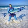 toofpic and fish edit 2.jpg