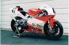 TZ250.jpg
