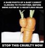 babycarrot.jpeg