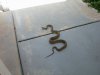Gopher Snake May 15 2013.JPG