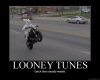 looney tunes.jpg