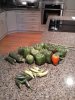 20171023_082945.jpg