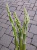 20171022_115430.jpg