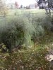 20171022_103801.jpg