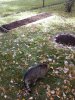 20171022_110345.jpg