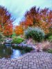 20171022_075446~2.jpg