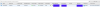 Screen Shot 2020-04-03 at 4.21.18 PM.png