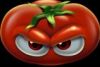 tomato_racing